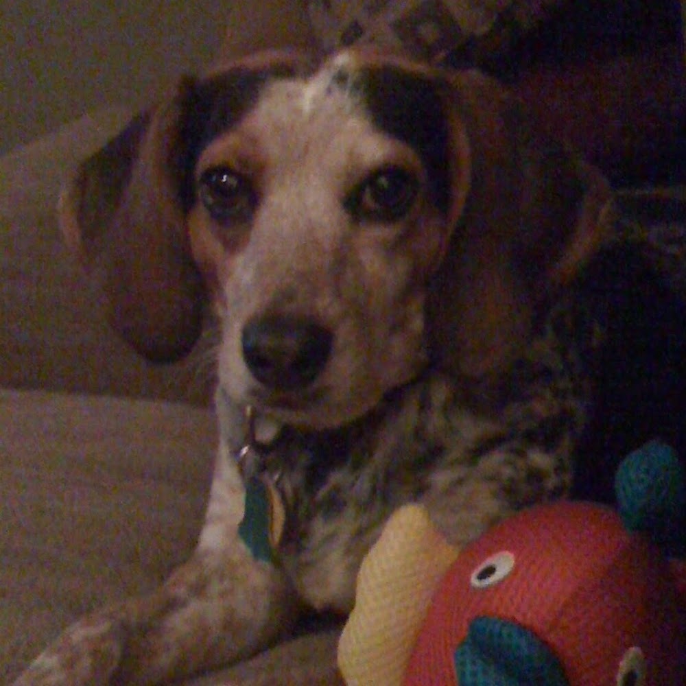 Meet your Posher, Sheila